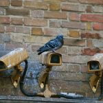security cameras